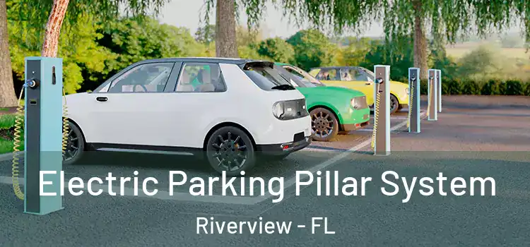  Electric Parking Pillar System Riverview - FL