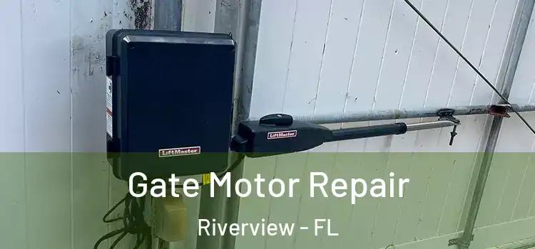  Gate Motor Repair Riverview - FL